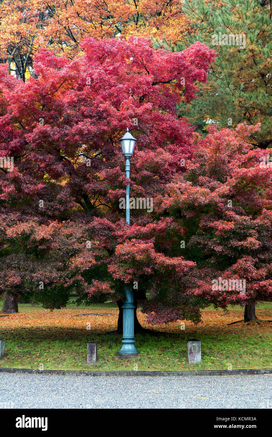 Classic street lamp im Herbst Park. Farbenfrohe öffentlichen Garten im Herbst. Stockfoto