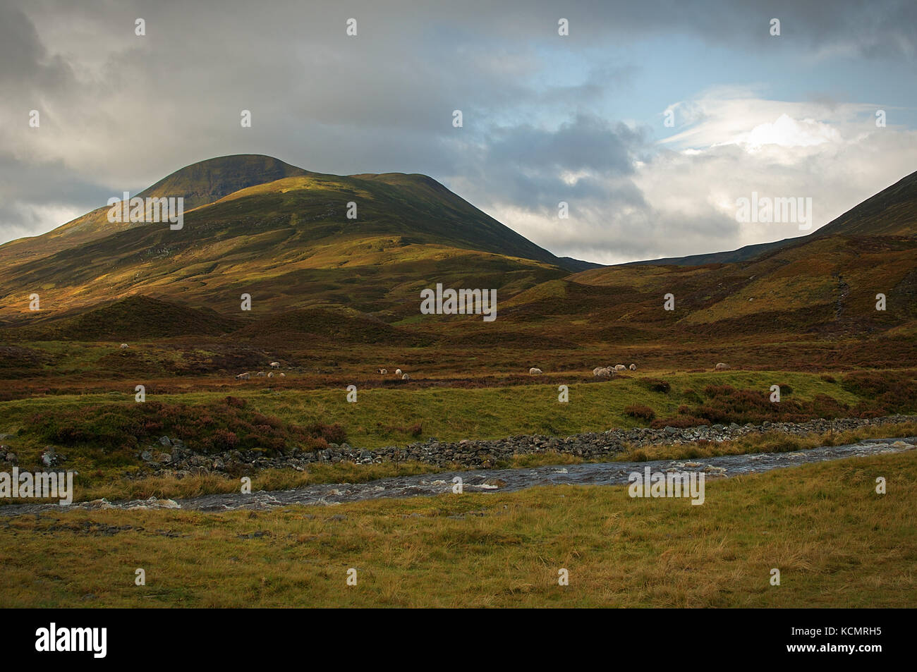 Wilden schottischen Tal im Cairngorms mit einem Strom im Vordergrund. Stockfoto