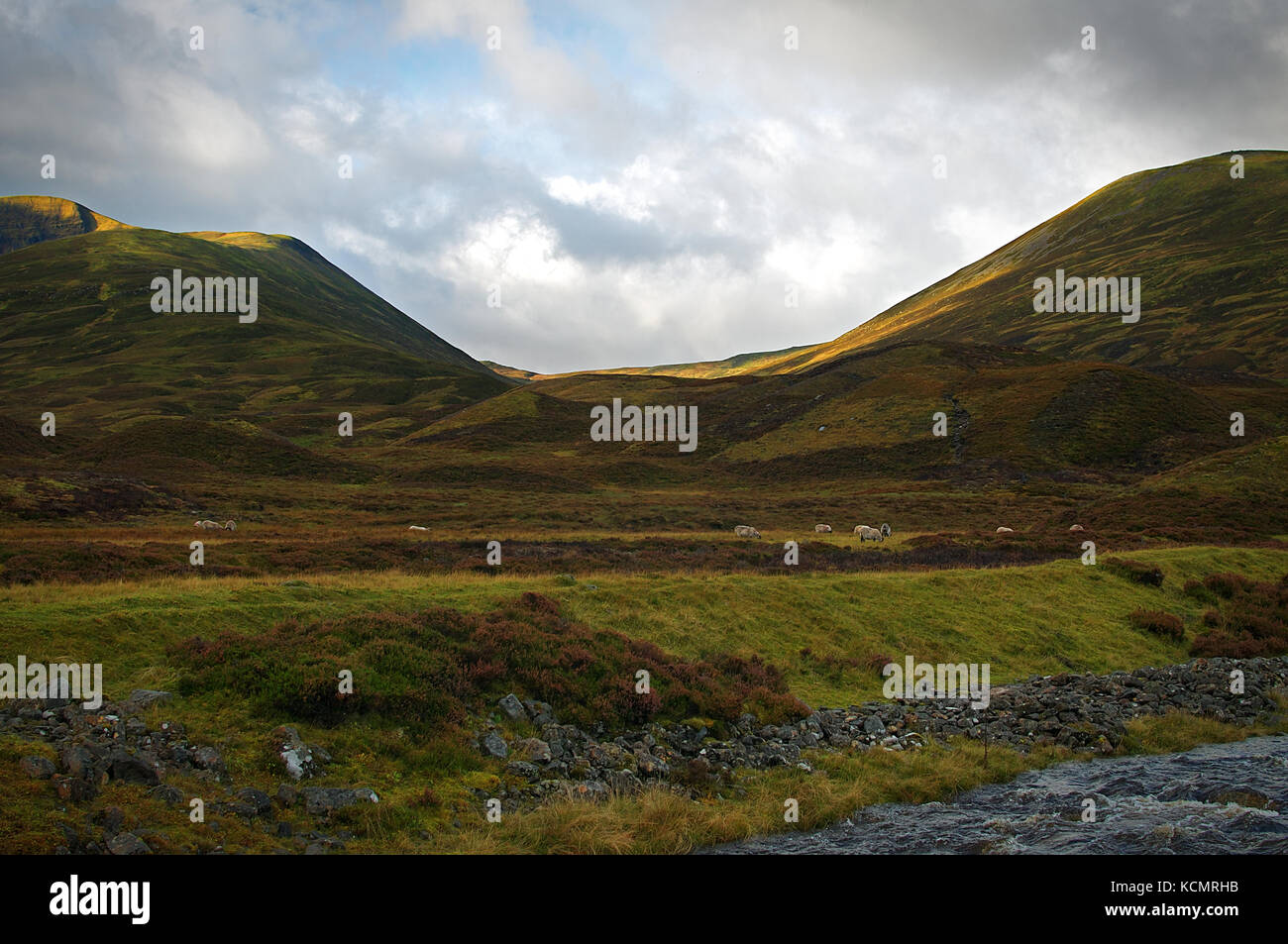 Wild Cairngorm mopuntains in den Highlands von Schottland Stockfoto