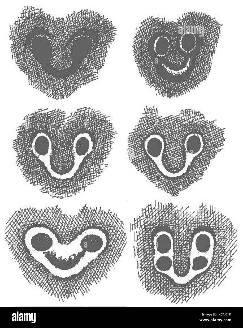 CobraMarkingsWall Stockfoto