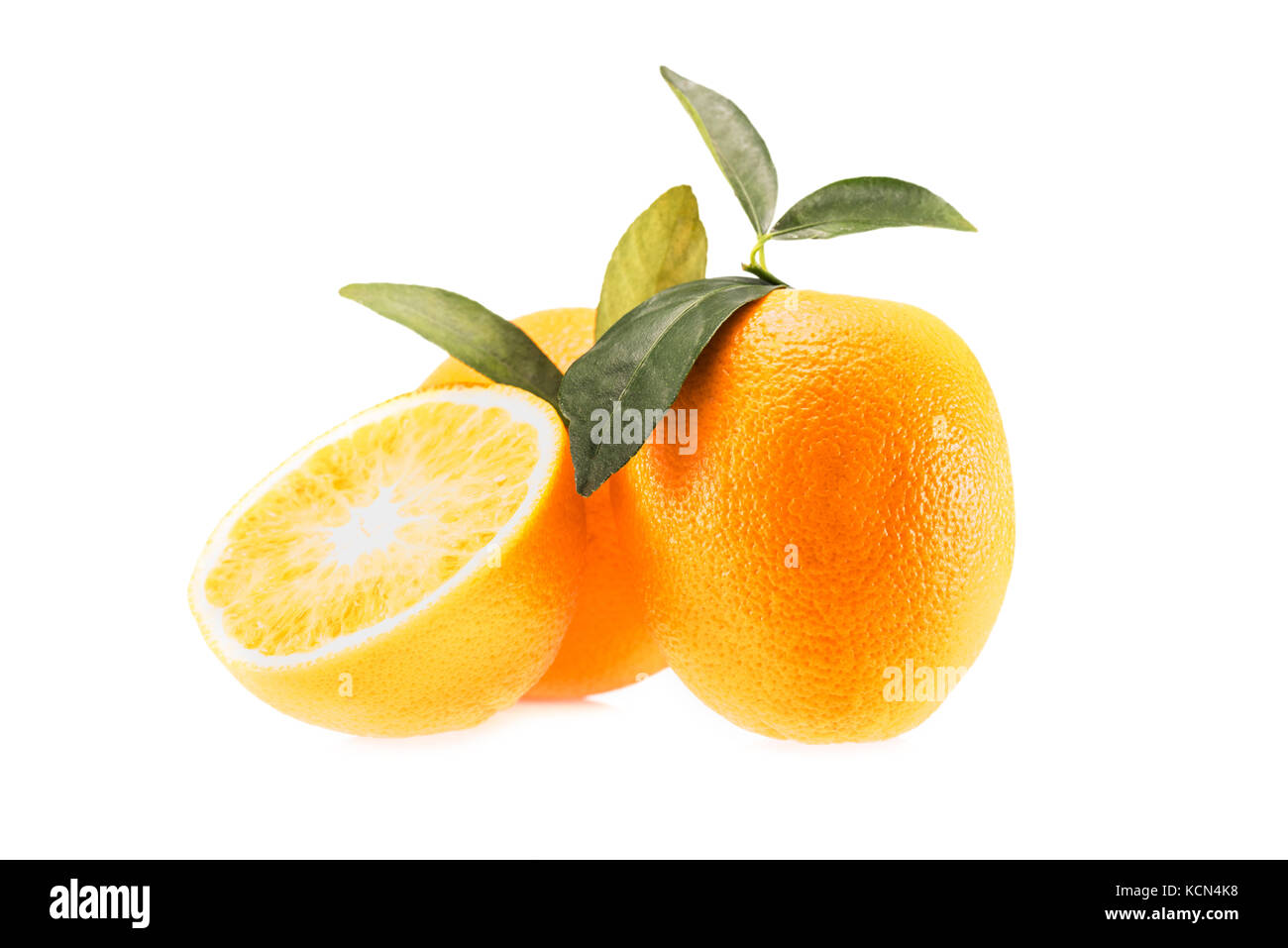 Frische saftige Orangen Stockfoto