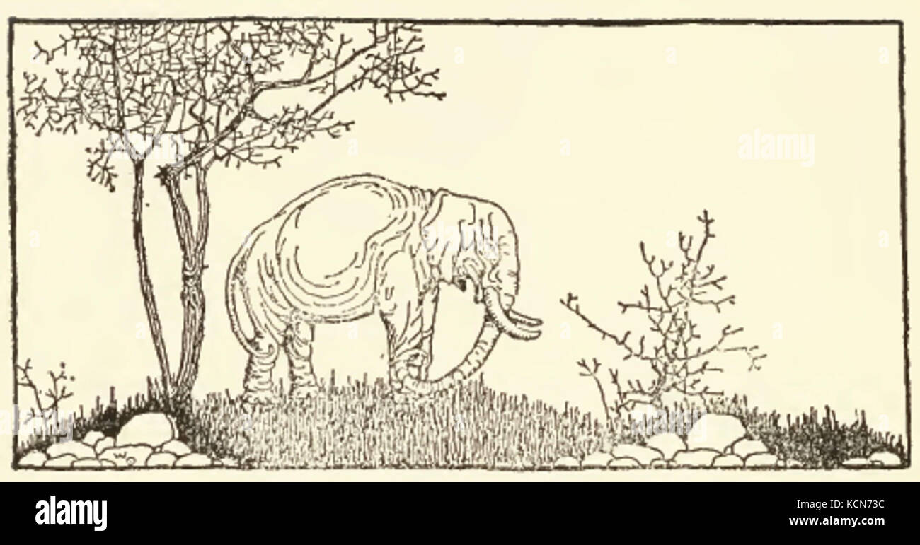 Elefant Zeichnung Stockfoto