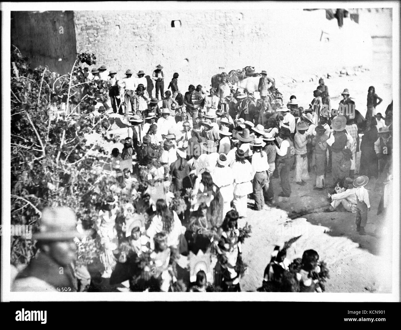 Chor der Sänger an der Sun Dance, Acoma Pueblo, ca. 1900 (CHS 4509) Stockfoto