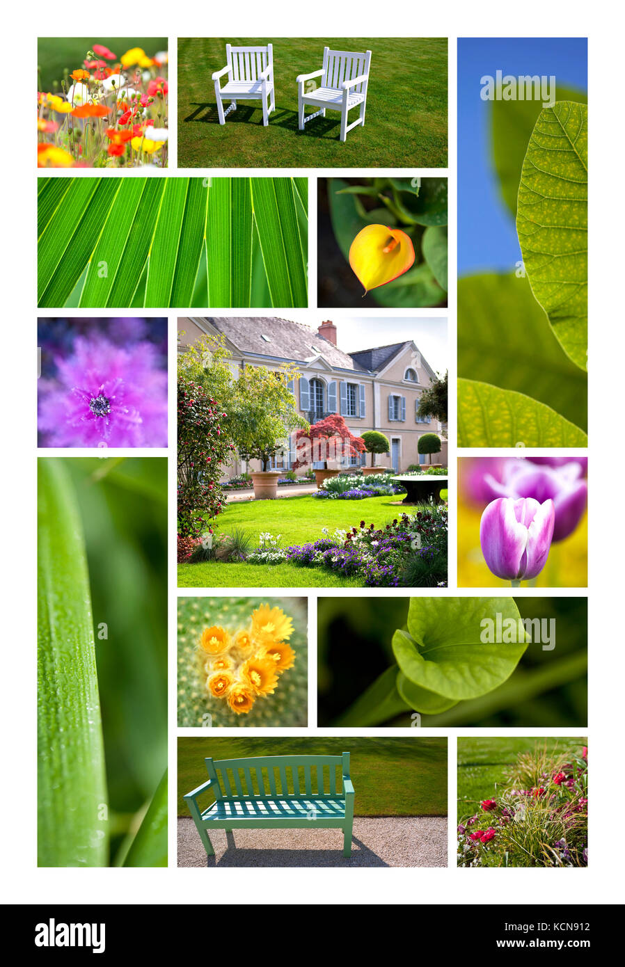 Flowerts und Garten- und Parkanlagen auf einer Feder collage Stockfoto