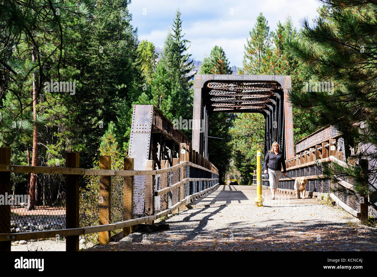 Eine Frau und ihr Golden Retriever (Canis Lupus Familiaris) zu Fuß über einen Bock (Teil der Kettle Valley Railway) in Kettle River Provincial Park in der Nähe von Rock Creek, British Columbia. Stockfoto