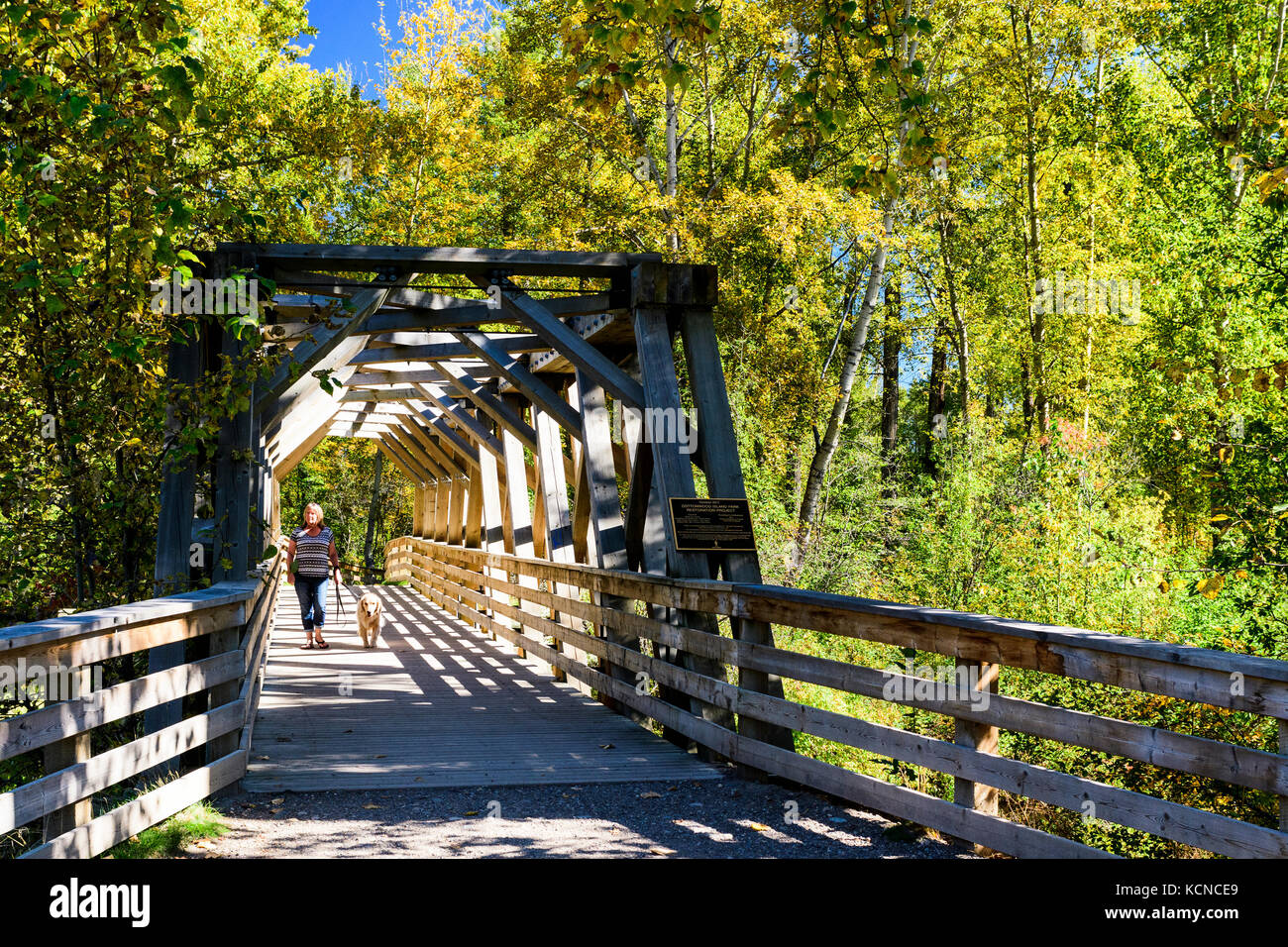 Eine Frau und ihr Golden Retriever Spaziergang entlang eines Doubles in Cottonwood Island Park in Prince George, British Columbia. Stockfoto