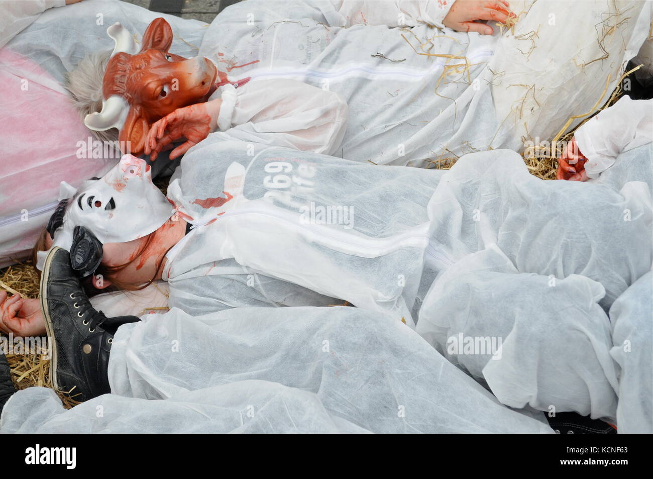 Lyon, Frankreich L269 Tierschützer protestieren gegen Verstöße gegen Tiere und fordern die Schließung von Schlachthöfen, Lyon, Stock Photo L269 an Stockfoto