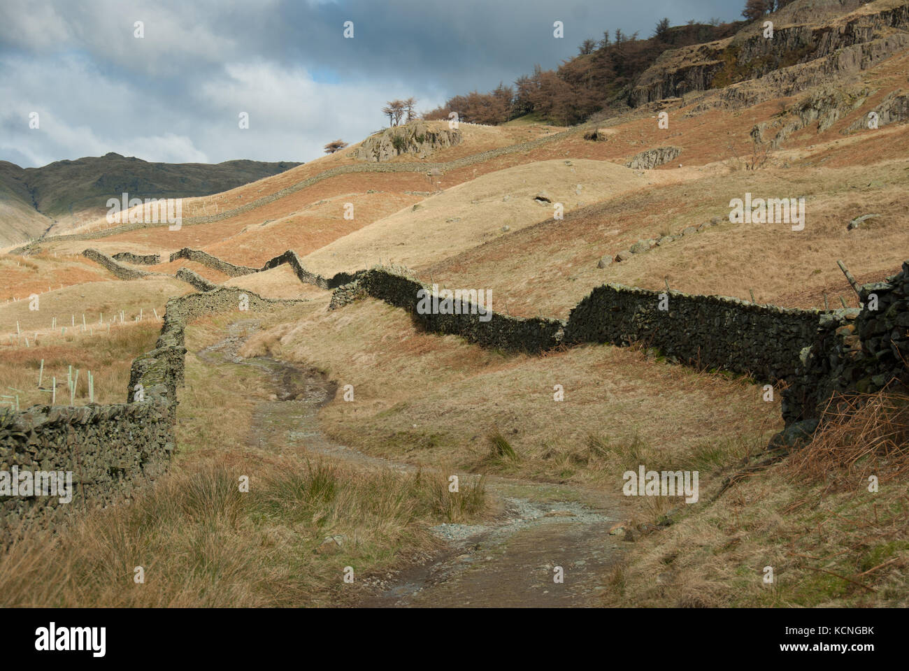 Fußweg zwischen Trockenmauern entlang Scandale Bottom, in der Nähe von Ambleside, Lake District, Großbritannien Stockfoto