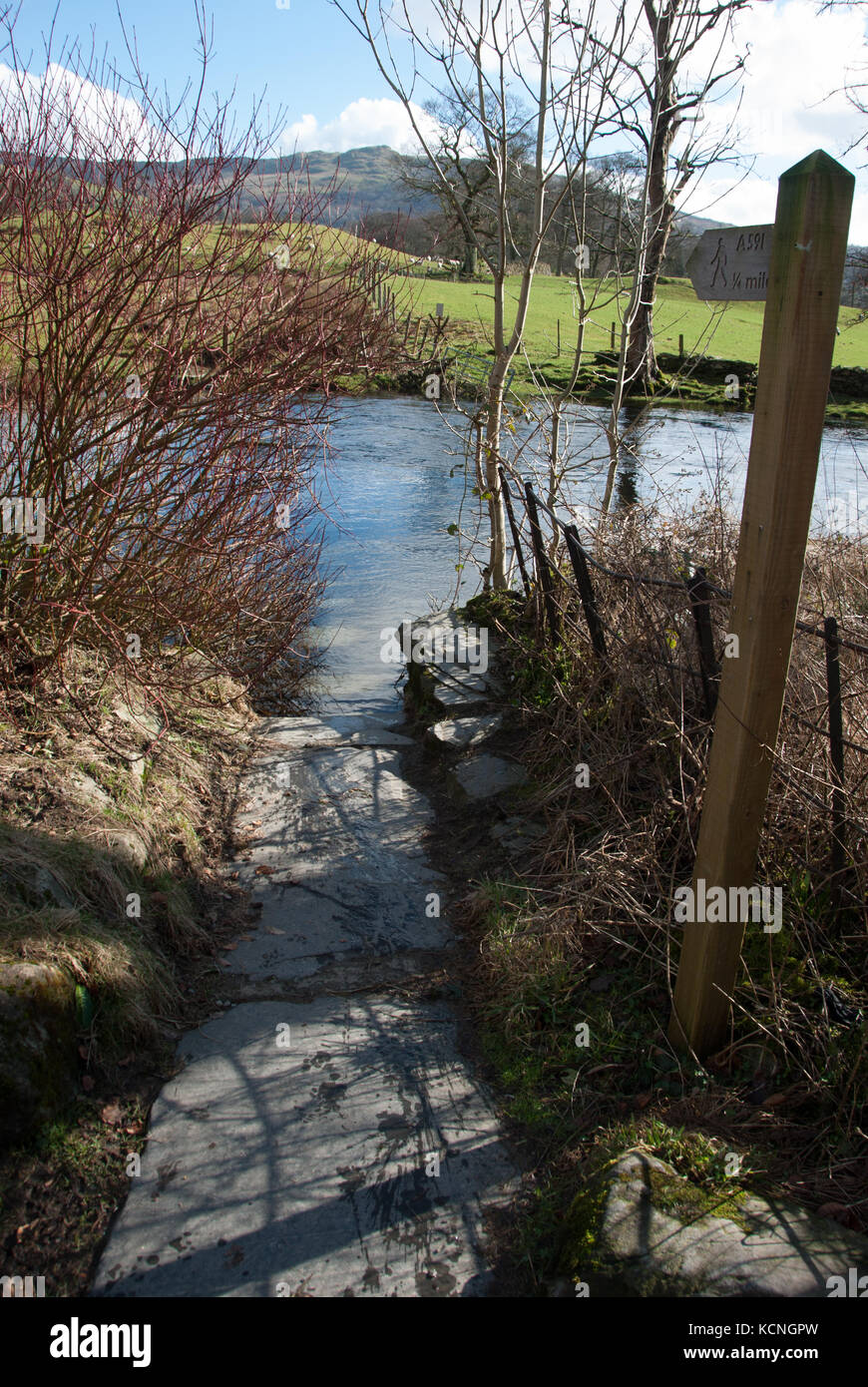 Überfluteter Fußweg über den Fluss Rothay bis A591 von Under Loughrigg, in der Nähe von Ambleside, Lake District National Park, Großbritannien Stockfoto