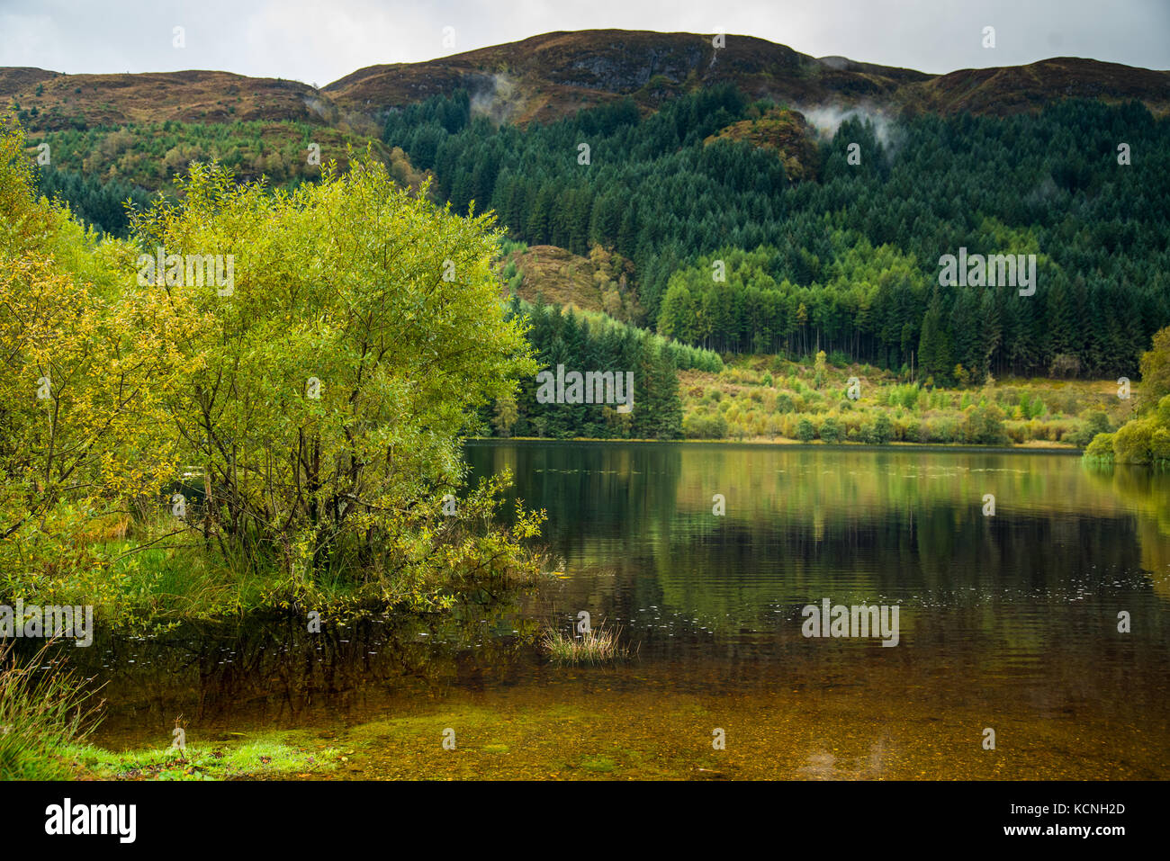 Anfang Herbst Farben auf Loch Ard Stockfoto