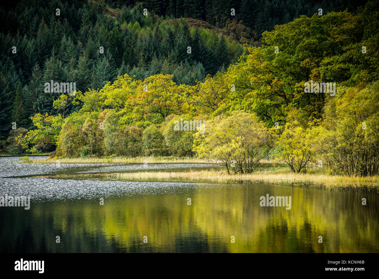 Anfang Herbst Farben auf Loch Ard Stockfoto