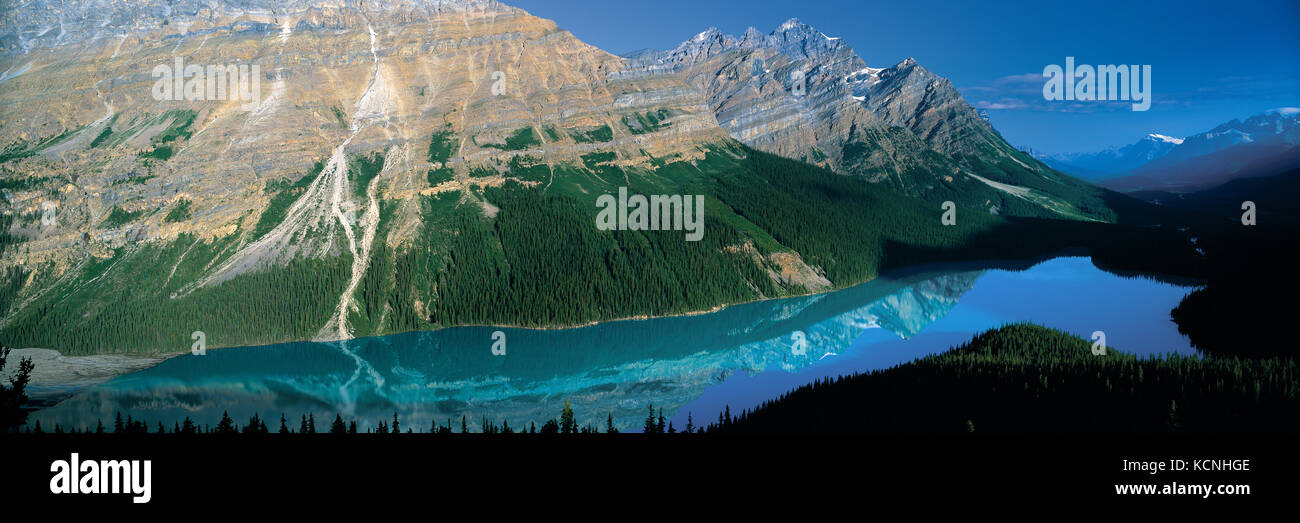 Panoramablick auf Peyto Lake im Banff National Park, der kanadischen Rocky Mountains in Alberta, Kanada Stockfoto