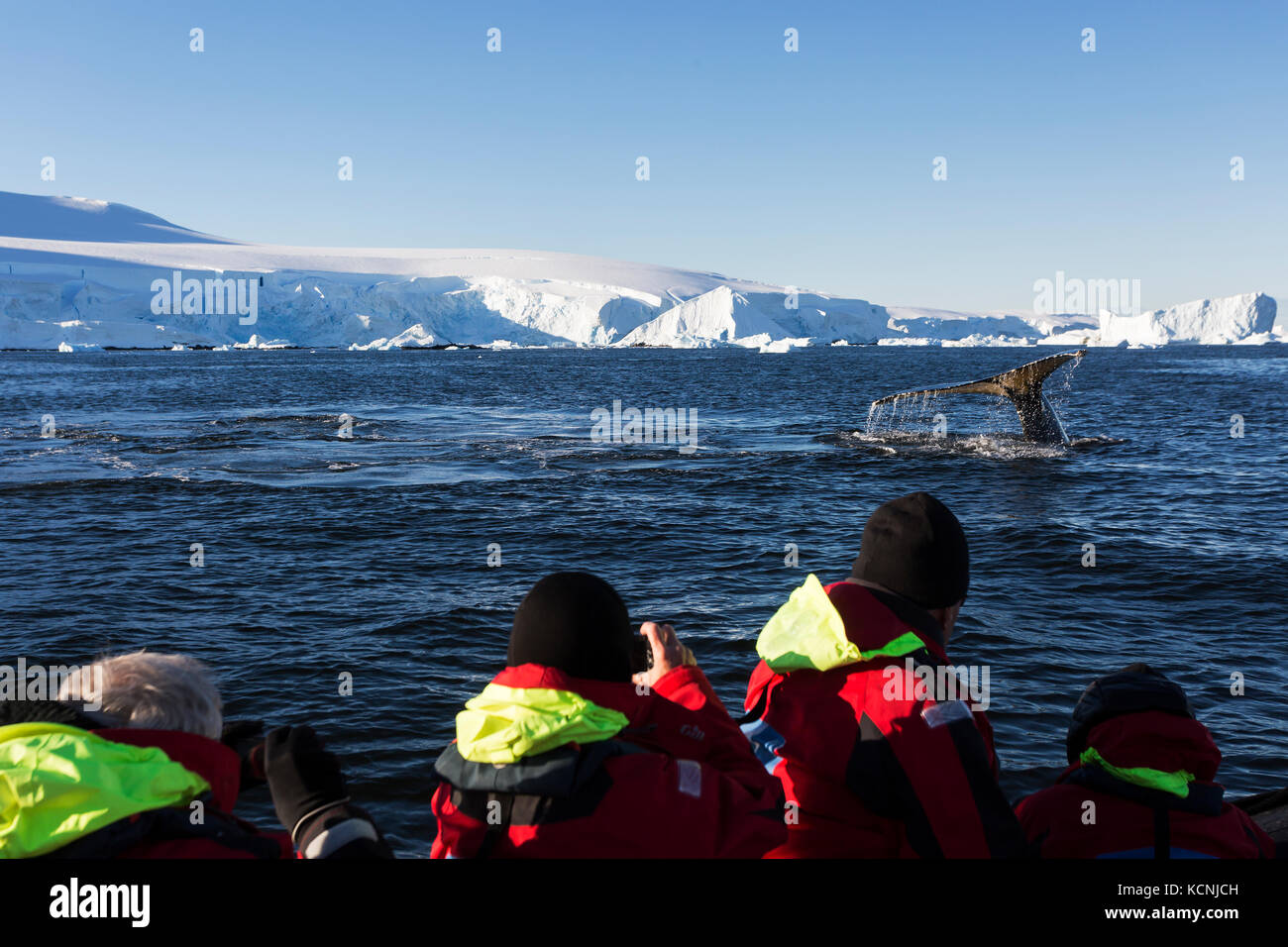 Passagiere watch Zodiak, Buckelwale in die Bucht von Fournier aus Fütterung von Anvers Island, gerlache Strait, Antarktische Halbinsel Stockfoto