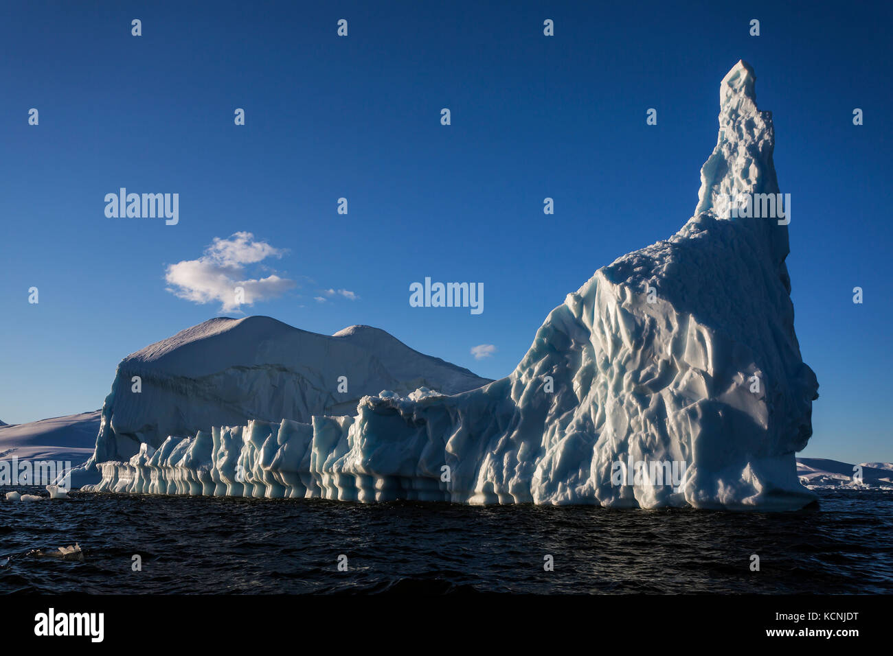 Ein Eisberg von begrenzungslicht schwimmt im Wasser in der Nähe von Anvers Island, Antarktische Halbinsel, Antarktis Stockfoto