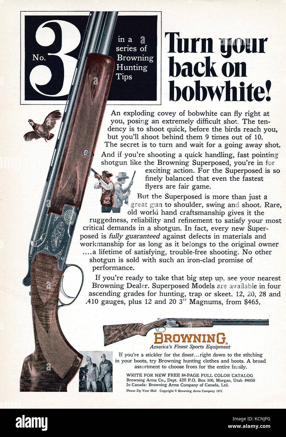 Anzeige für Browning Gewehre mit Bobwhite Wachtel ein Steinbruch Arten inserieren Stockfoto