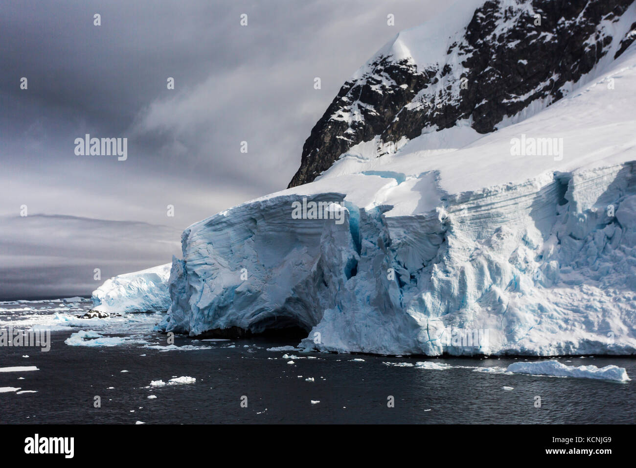 Vergletscherte Eis langsam Schnäbel aus in Wasser nahe pleneau Island, Antarktische Halbinsel, Antarktis Stockfoto