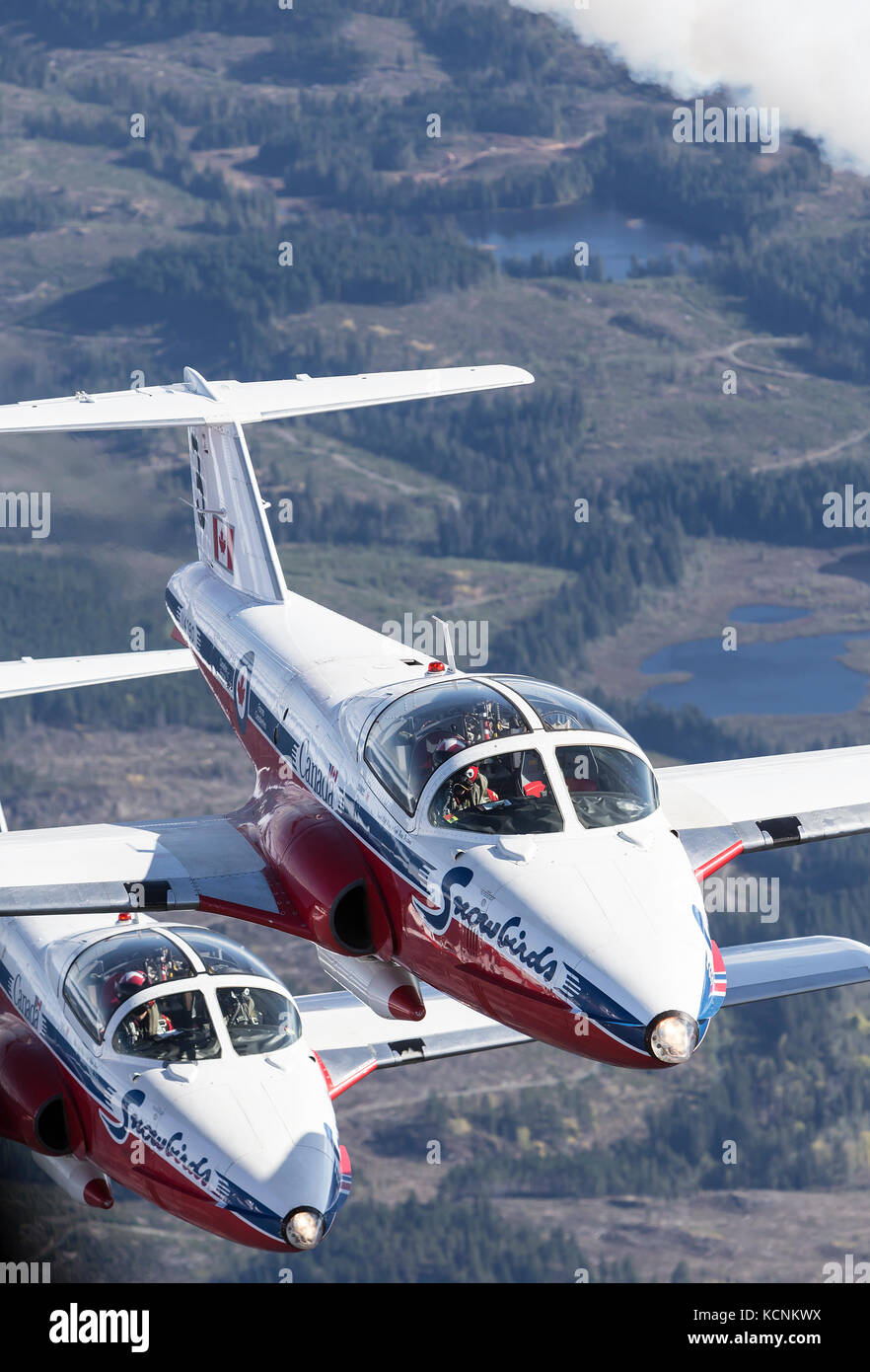 Kanada's Tudor flying Demonstration Team, die snowbirds, fliegen über Berge im Strathcona Park. Stockfoto