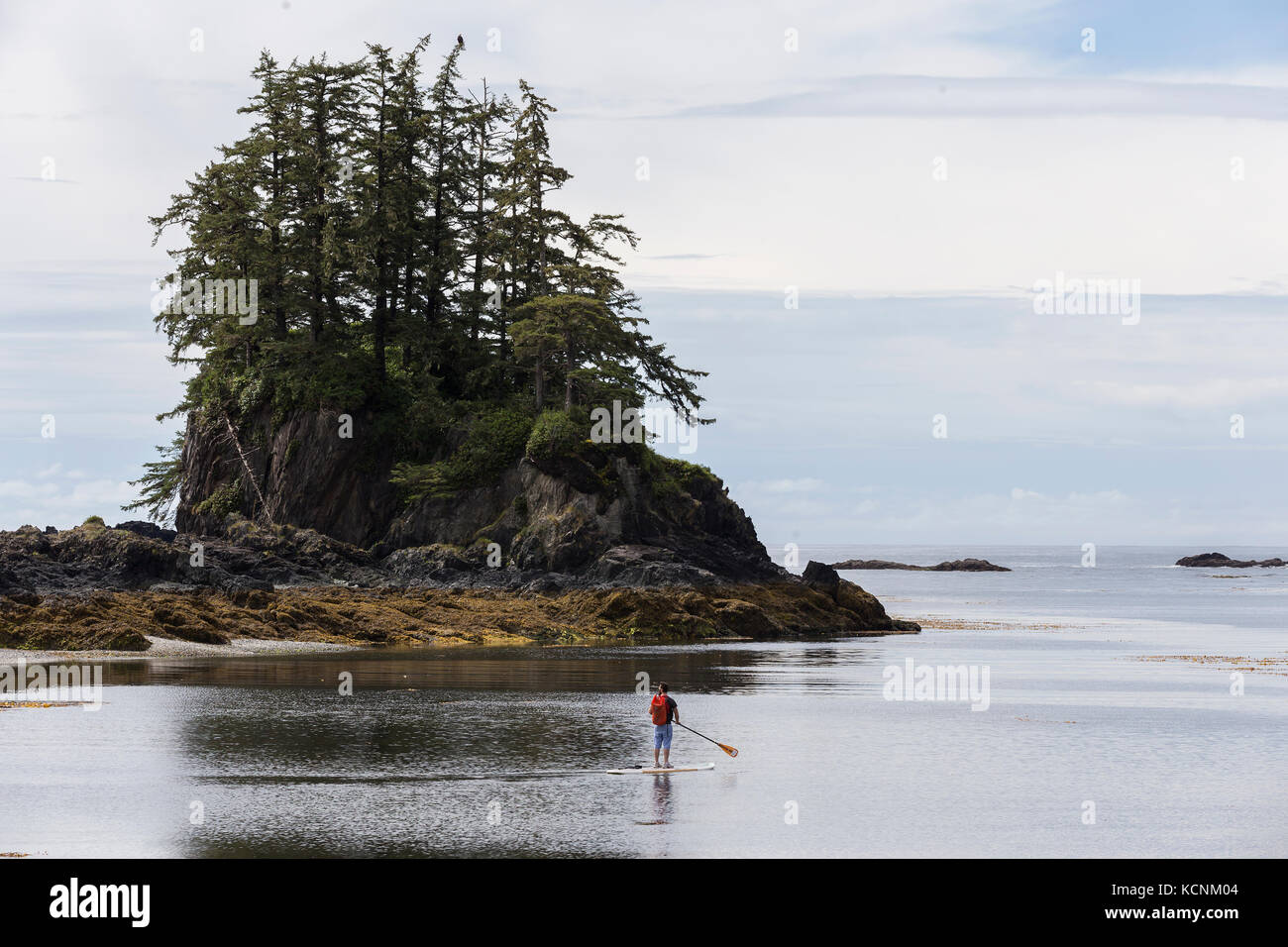 Ein Stand-up Paddle Boarder fährt durch die ruhigen Gewässer um Spring Island, Kyuquot, Vancouver Island, British Columbia, Kanada. Stockfoto