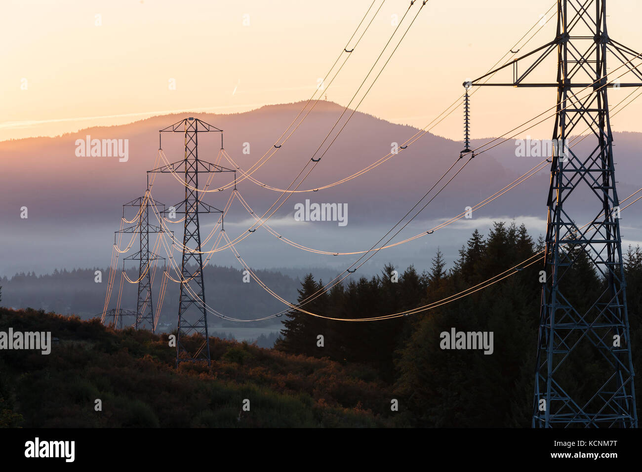 Hohe Hochspannungsleitungen sind durch einen frühen Morgen Sonnenaufgang beleuchtet. Duncan, Vancouver Island, British Columbia, Kanada. Stockfoto