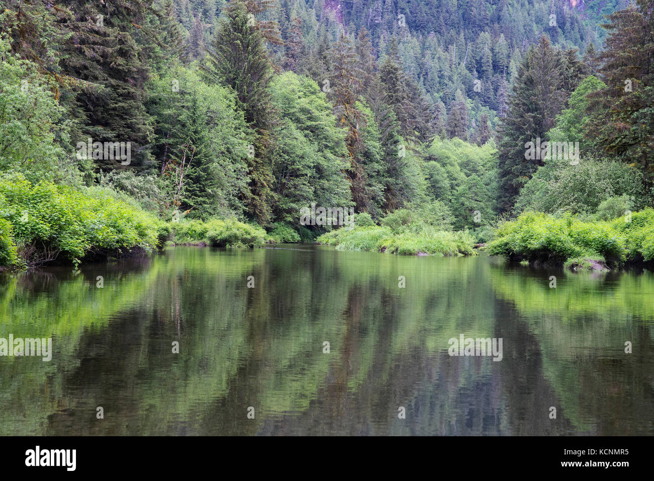 Das khutzeymateen Mündungsgebiet, das khutzeymateen Grizzly Bär Heiligtum, British Columbia, Kanada. Stockfoto