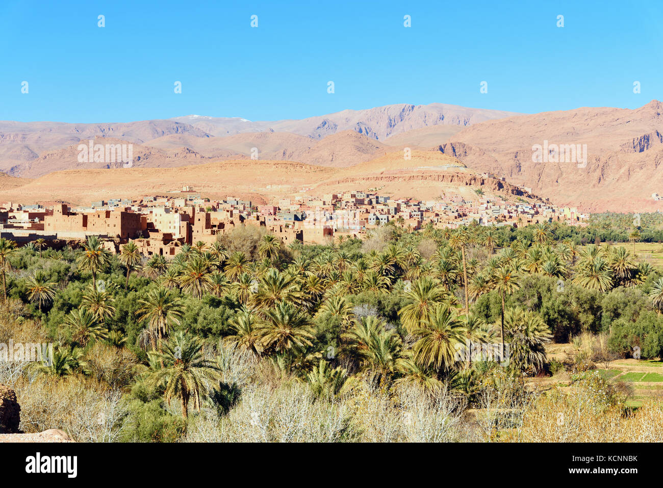 Aussicht Stadt von Tinghir Stadt und Oase. Die Stadt ist das Zentrum des Todra-Tal, zwischen dem hohen Atlas und der Jebel Sahro. Marokko Stockfoto