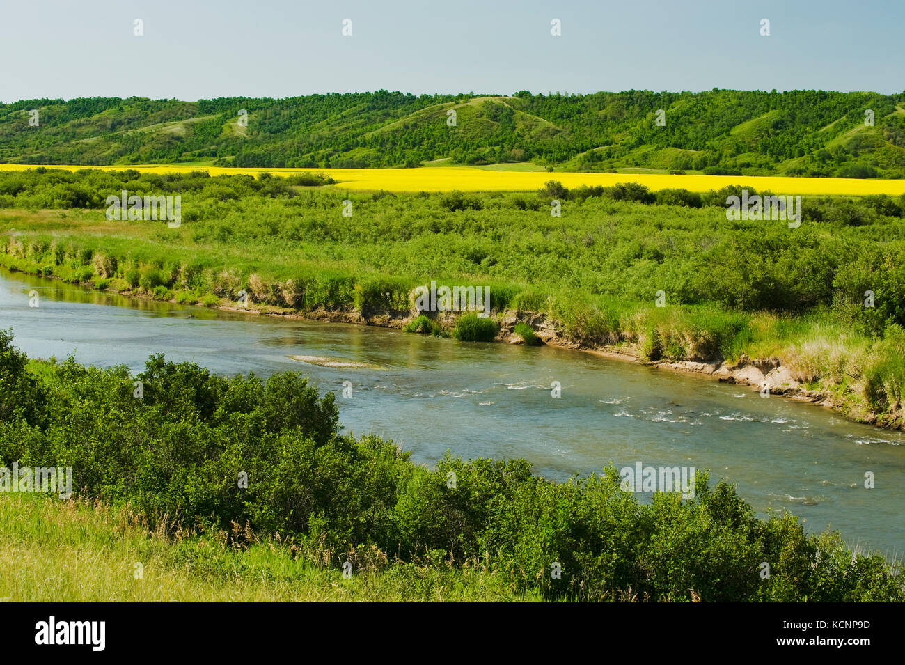 Qu'appelle Fluss, die Qu'appelle River Valley, Saskatchewan, Kanada Stockfoto