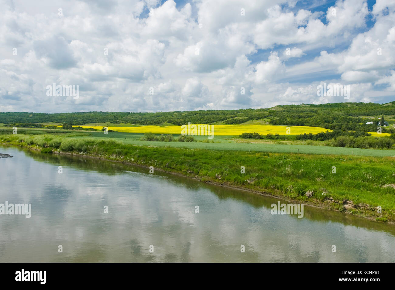 Qu'appelle Fluss, die Qu'appelle River Valley, Saskatchewan, Kanada Stockfoto