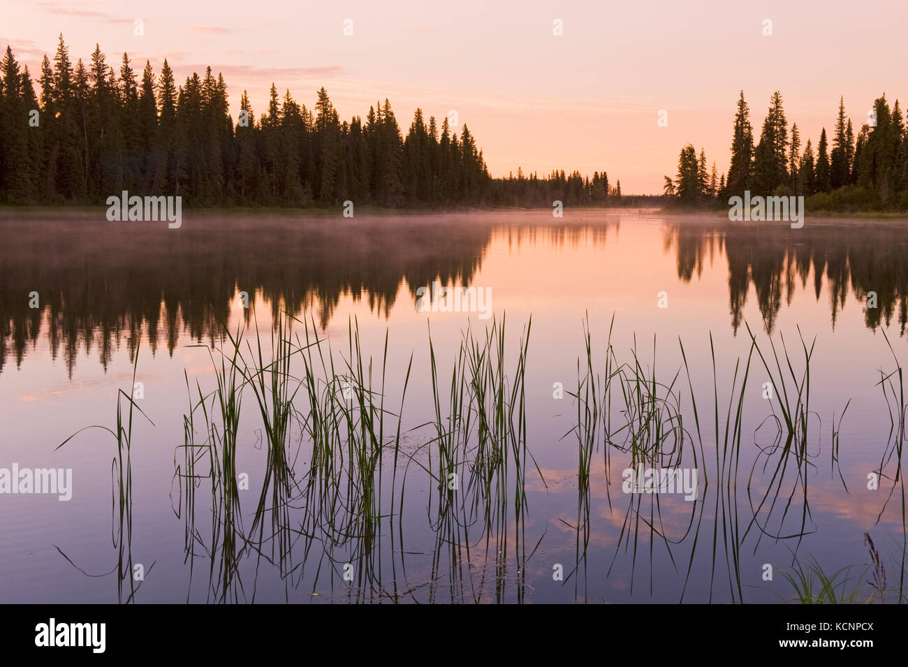 Entlang der Grass River, Northern Manitoba, Kanada Stockfoto