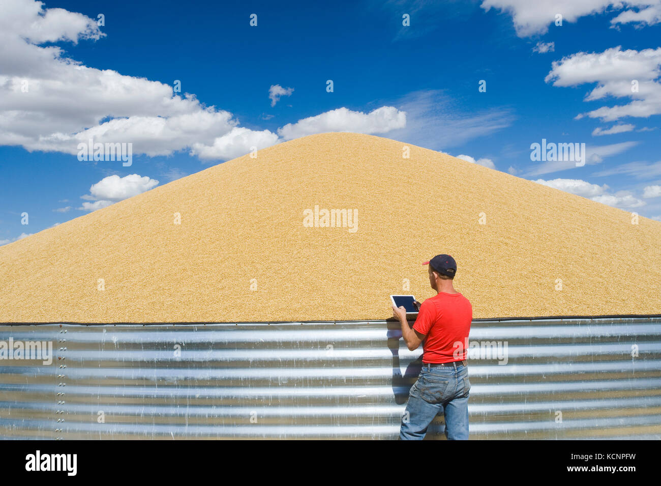 Ein Landwirt neben Gerste außerhalb gelagert werden, in der Nähe von Ponteix, Saskatchewan, Kanada Stockfoto