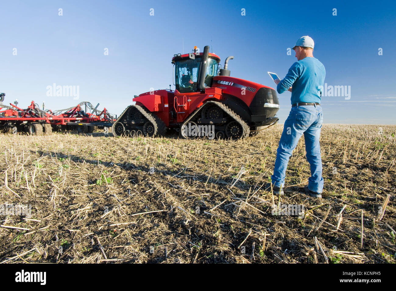 Landwirt mit einem Tablet vor einem Traktor und pneumatische Sämaschine Aussaat Winterweizen in einem Null bis Feld mit Raps Stoppeln, in der Nähe von Lorette, Manitoba, Kanada Stockfoto