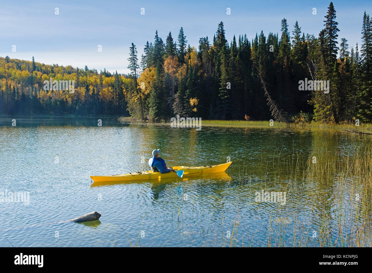Kajak, froh, See, Duck Mountain Provincial Park, Manitoba, Kanada Stockfoto