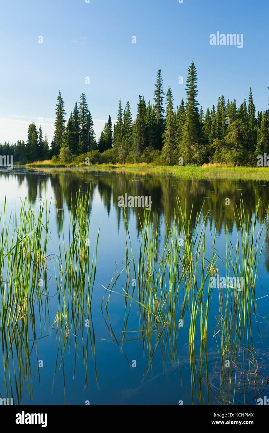 Entlang der Grass River, Manitoba, Kanada Stockfoto