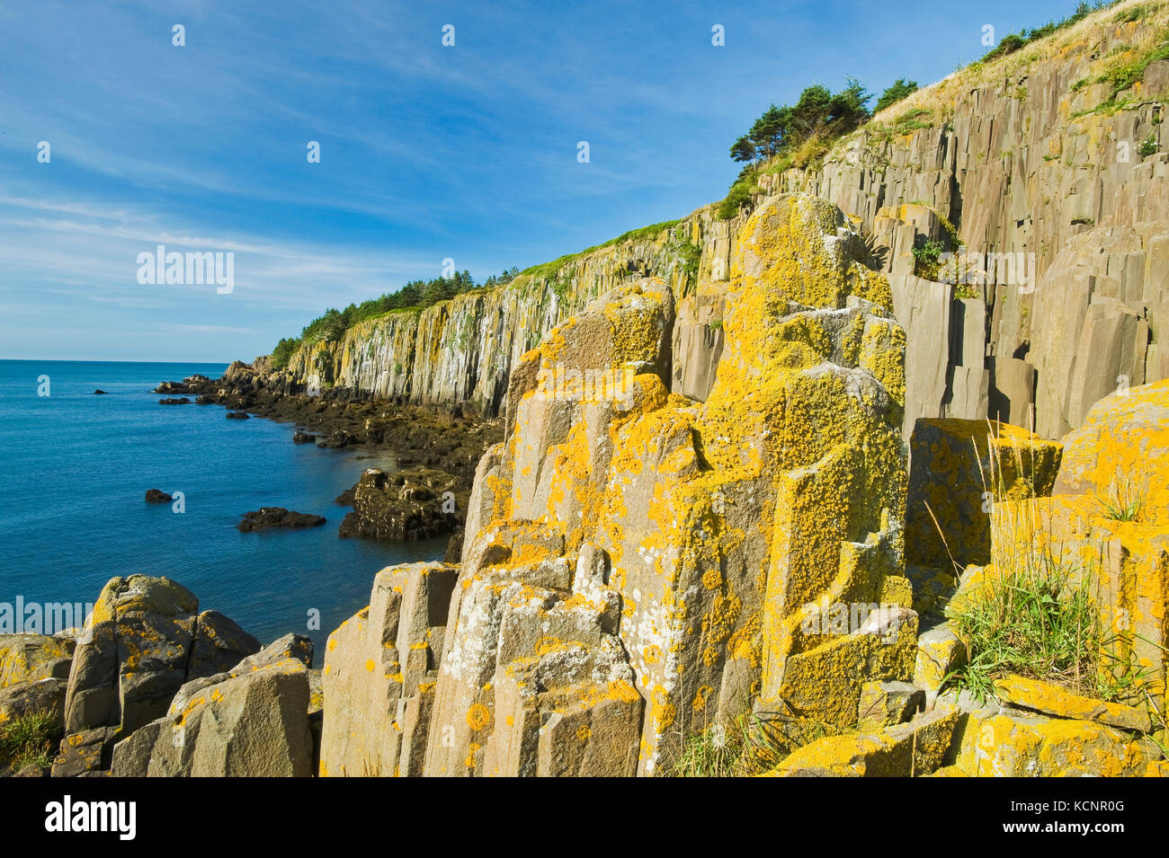 Basalt Felsen mit Flechten bedeckt, Brier Island, Bucht von Fundy, Nova Scotia, Kanada Stockfoto