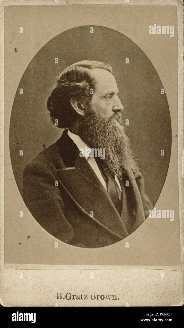 B. Gratz Braun (1826 1885) Stockfoto