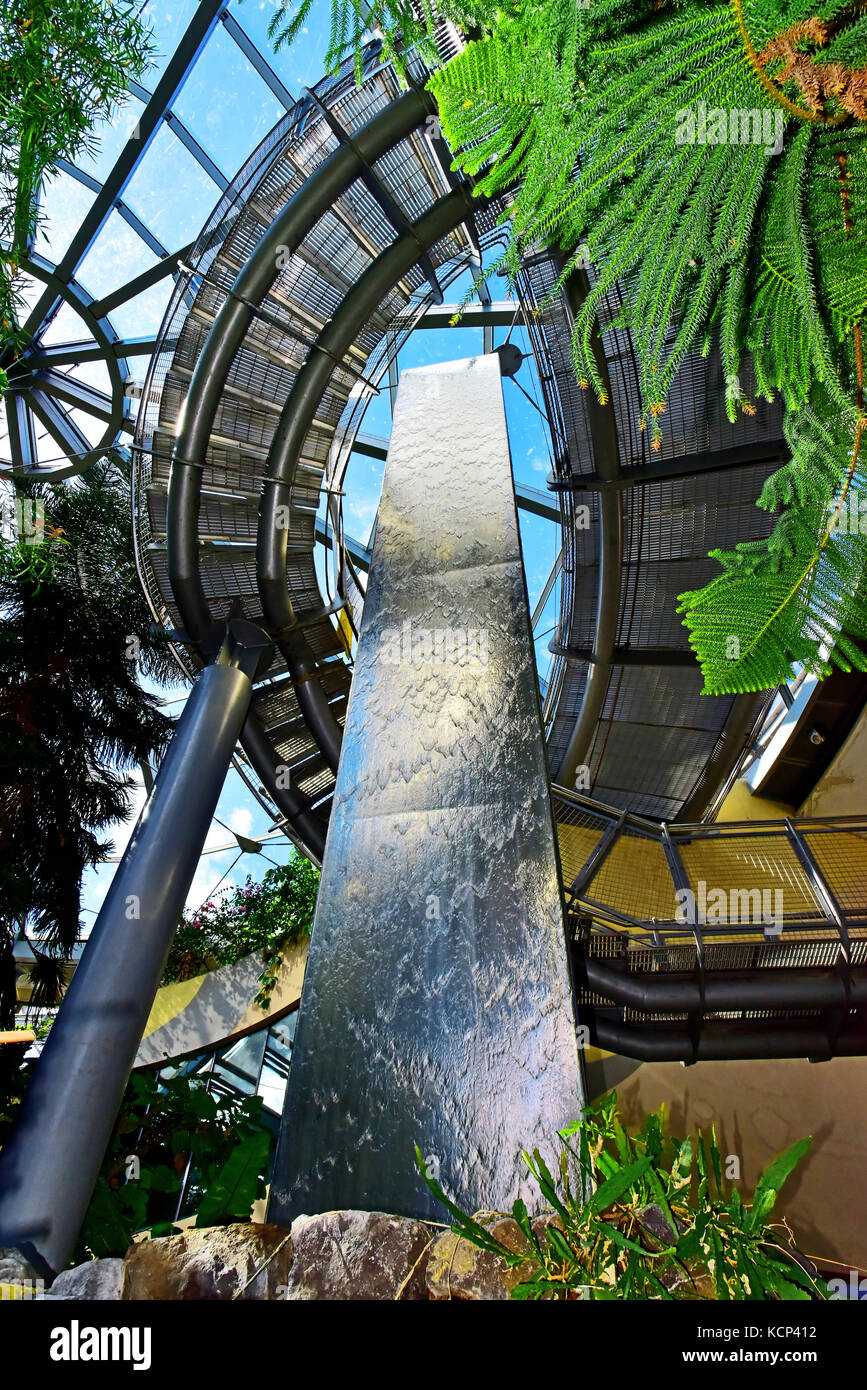 Sunderland Winter Gardens Dschungelspaziergang und Indoor-Wasserfall Stockfoto