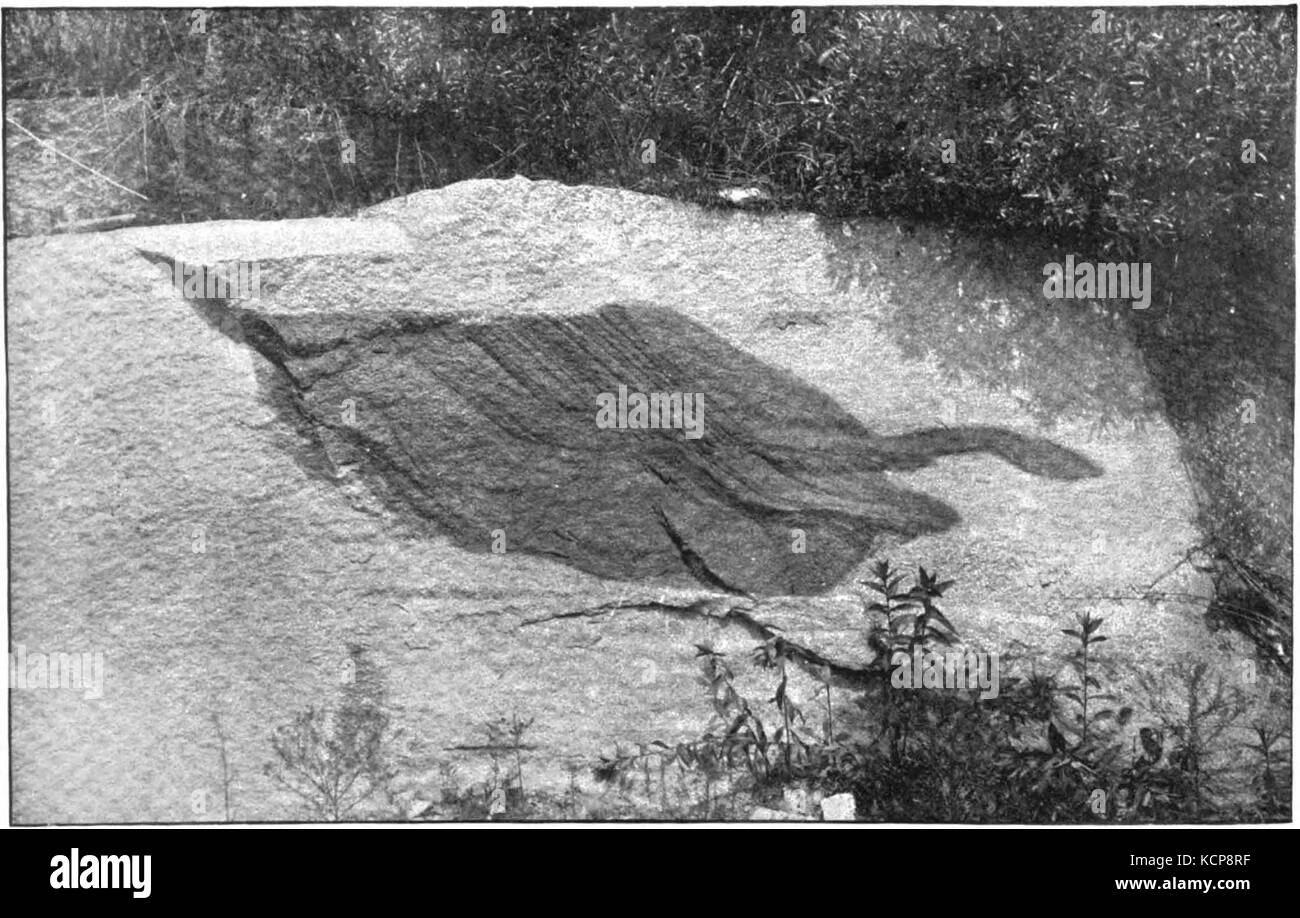 Ein Bild eines Gneises in Granit, das geologische Merkmale und Mineralformationen in dieser wissenschaftlichen Untersuchung von Gesteinstypen zeigt. Die Platte ist Teil einer geologischen Serie aus dem Jahr 1895. Stockfoto