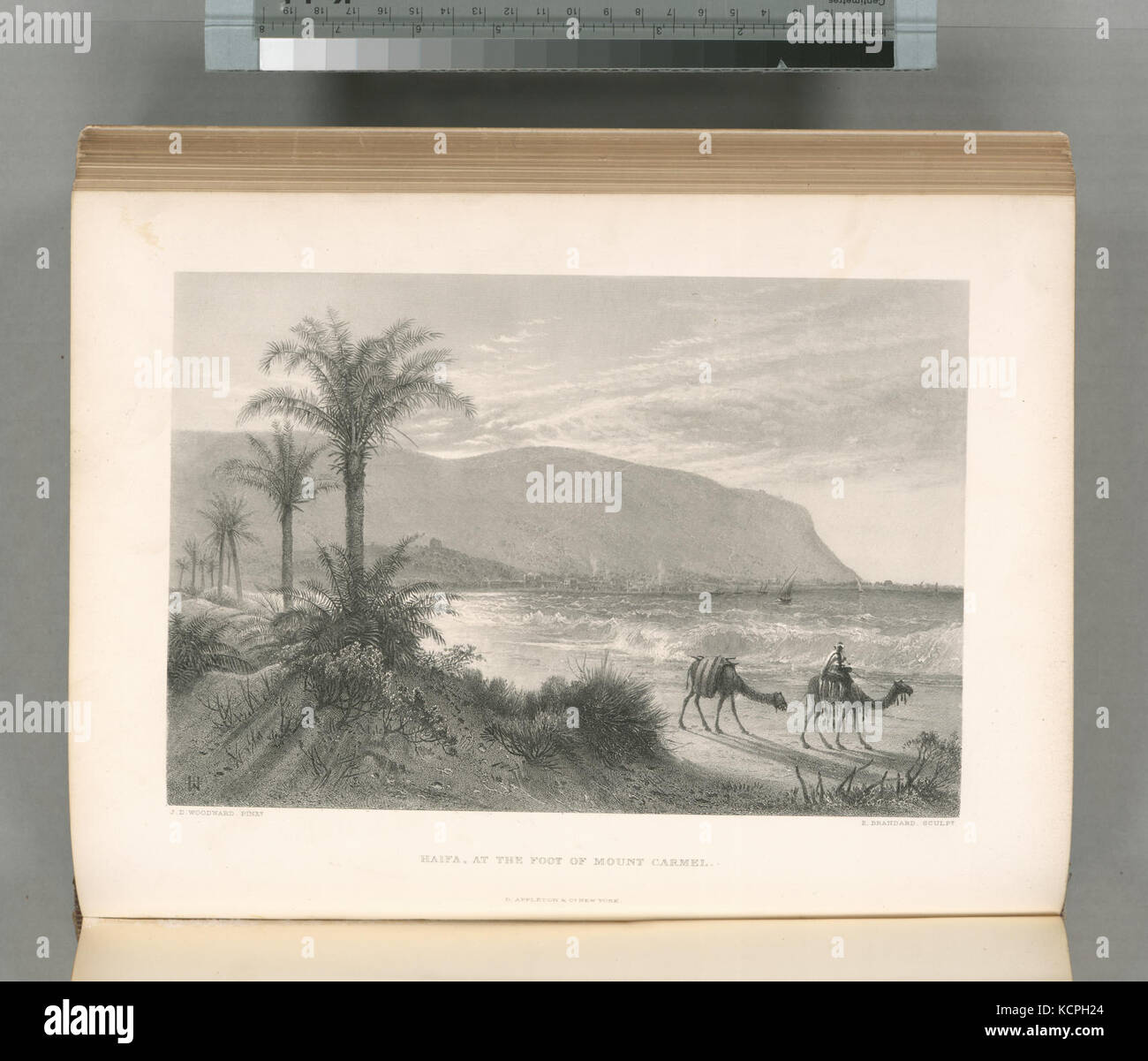 Haifa, am Fuße des Mount Carmel (Nypl b 10607452 80627) Stockfoto