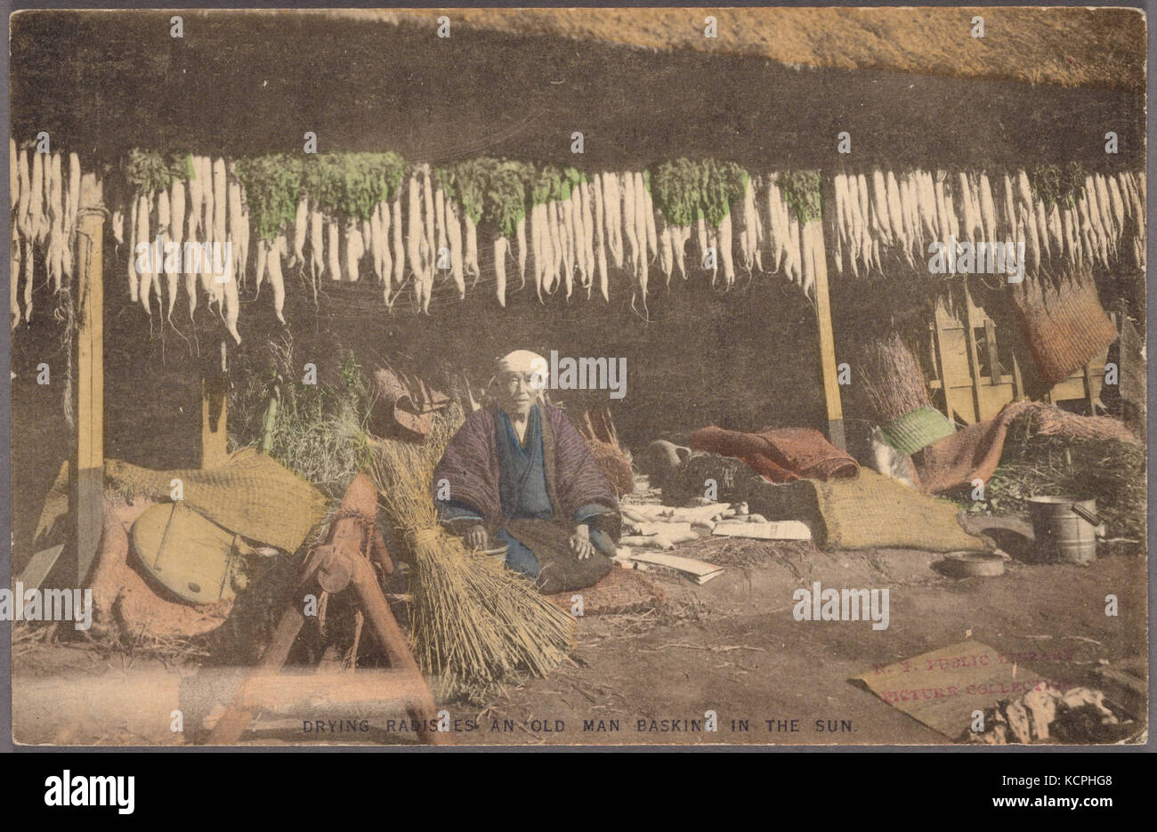 Das Trocknen von radieschen. Ein alter Mann, Aalen in der Sonne (NYPL Hades 2360112 4043911) Stockfoto