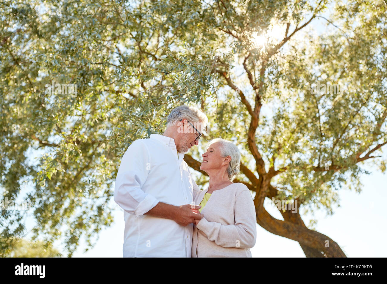 Gerne älteres Paar an Sommer Park Stockfoto