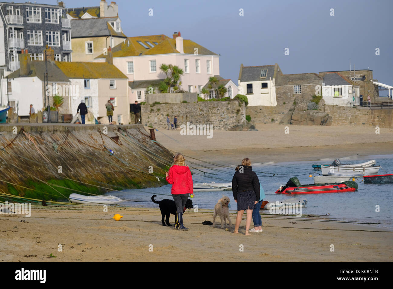 Der 1. Oktober und Hunde sind zurück auf St Ives Stränden erlaubt. Stockfoto