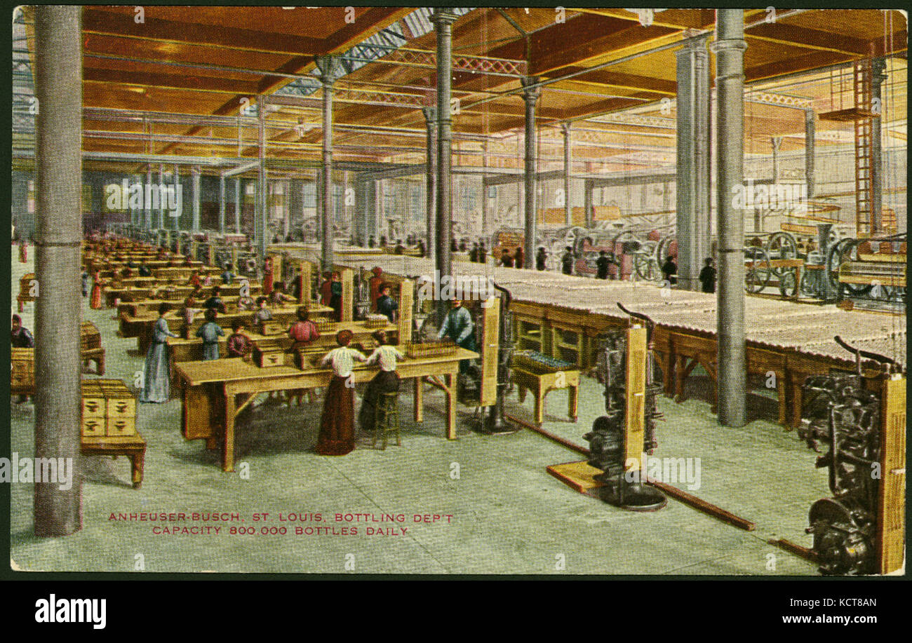 Anheuser Busch, St. Louis Abfüllung Abteilung. Kapazität 800.000 Flaschen täglich (Innenansicht) Stockfoto