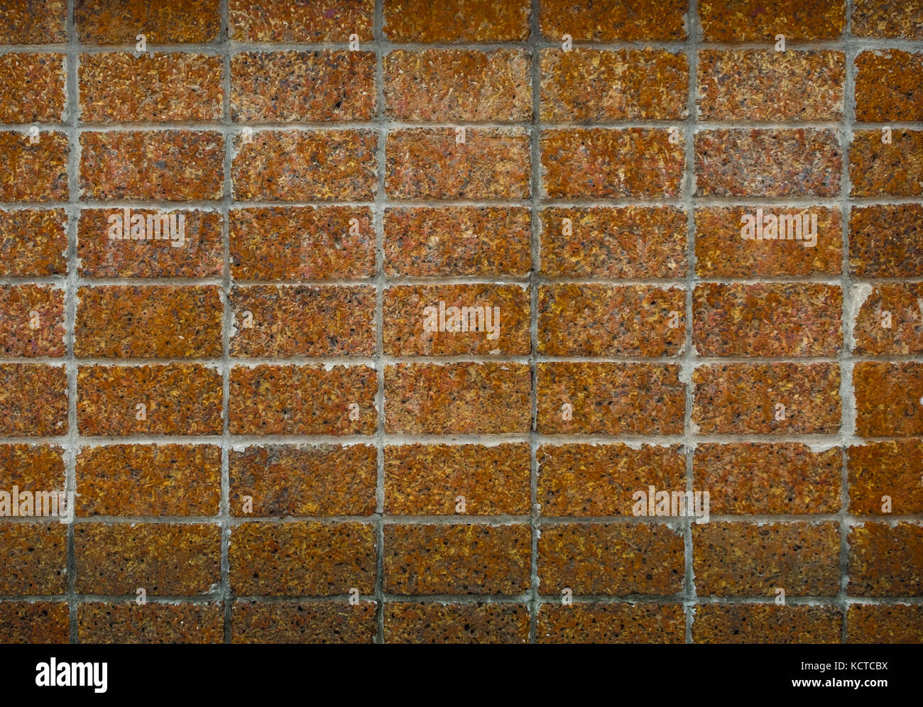 Vorderansicht der Alten grunge Laterit wand Textur. Stockfoto