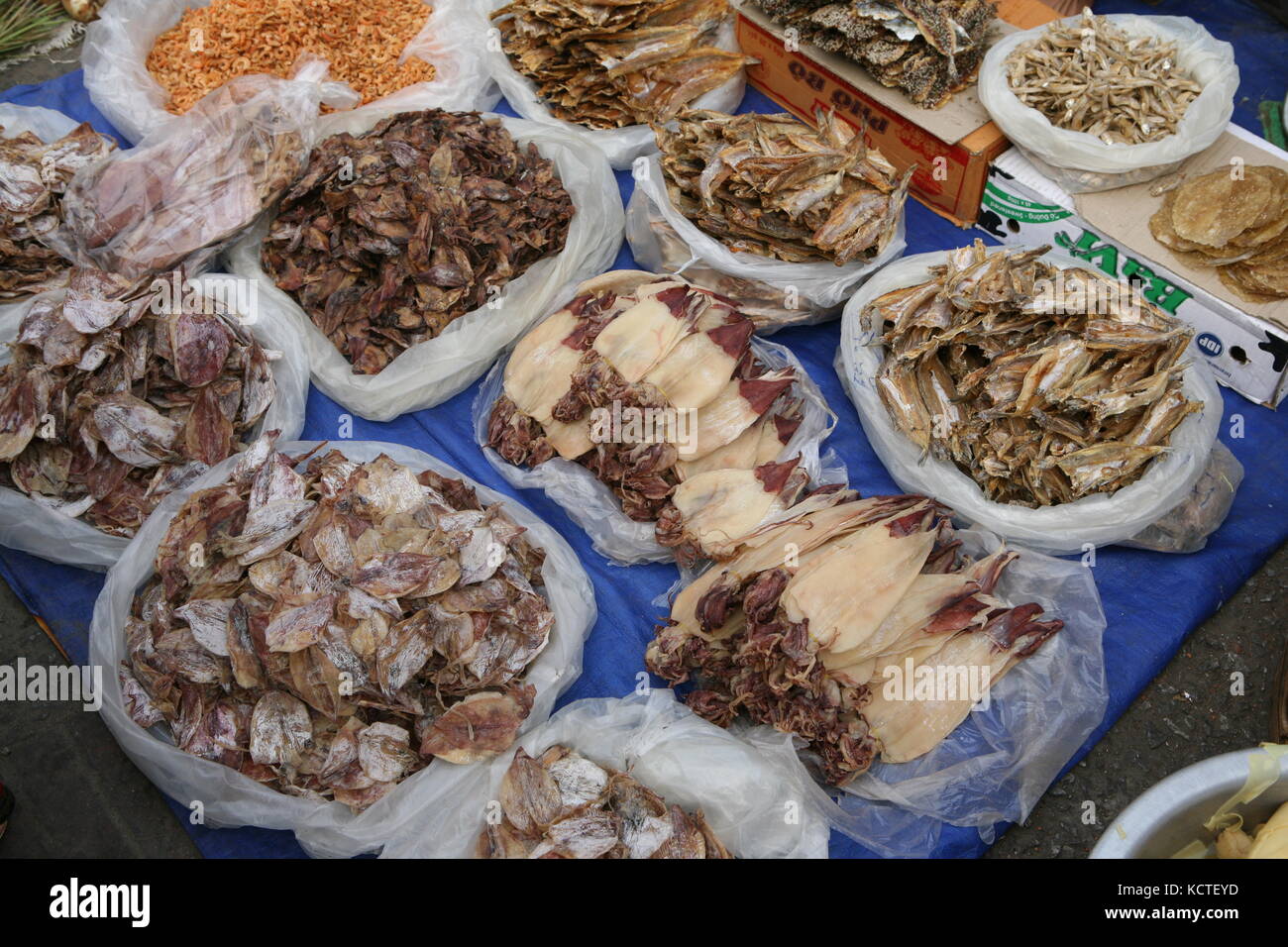 Getrockneter Fisch in asiatischem Markt - getrocknete Fische auf dem asiatischen Markt - Sepia, Tintenfisch, Tintenfisch Stockfoto