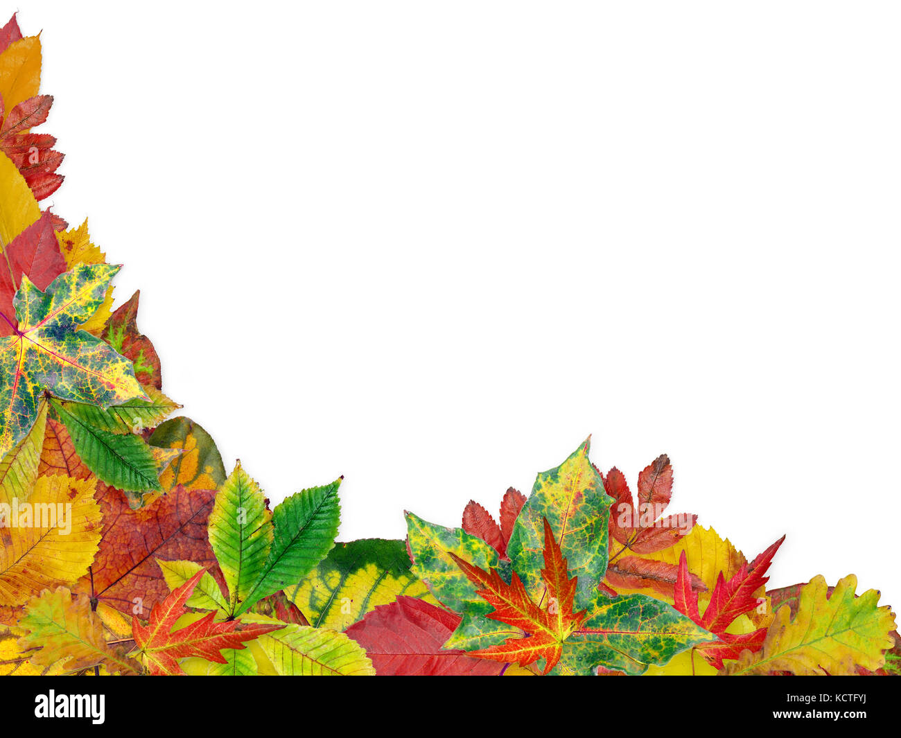 Rahmen der verschiedenen Baum Blätter im Herbst Farben Stockfoto