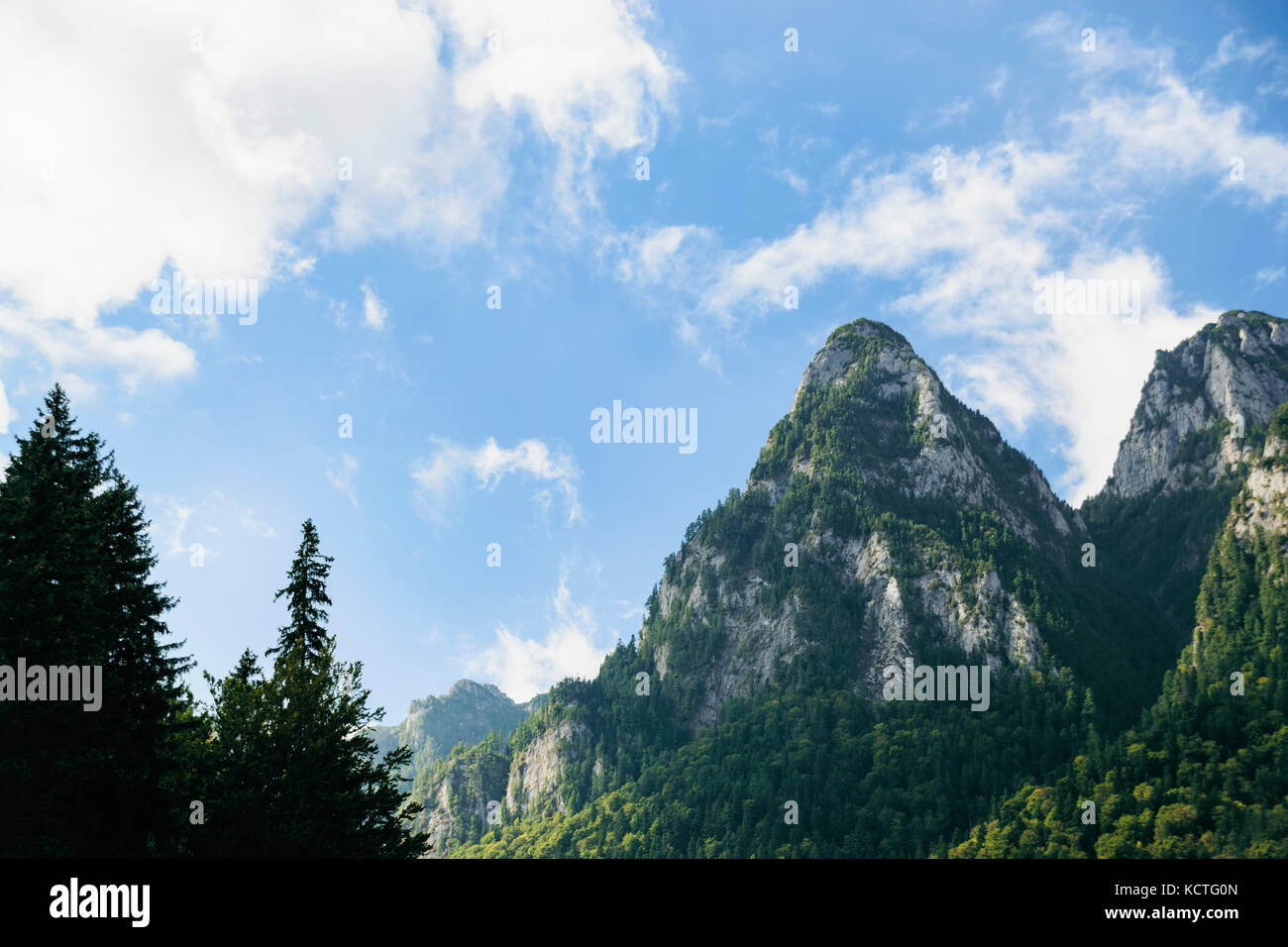 Low Angle View der Bucegi Bergen durch Kiefernwald gegen bewölkter Himmel umgeben Stockfoto
