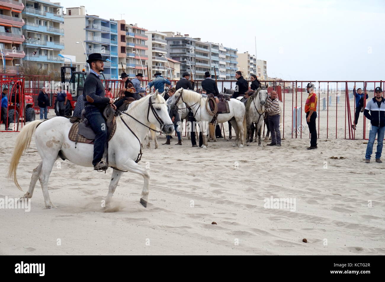 Die Stiere am Strand von Palavas-Les-Flots laufen als Teil der Feria d'automne, Hérault, Frankreich Stockfoto