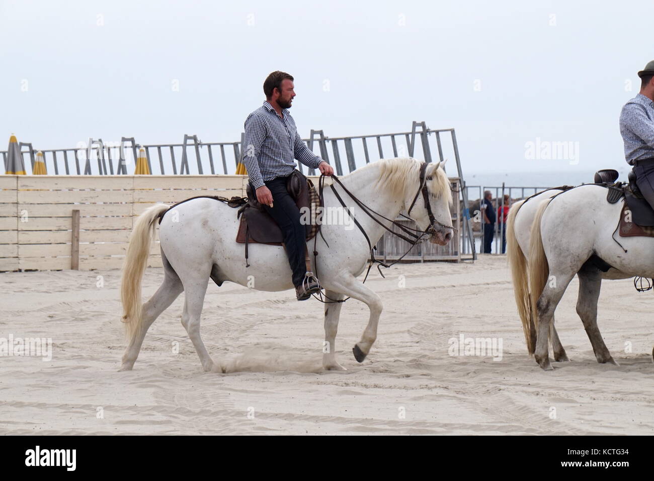 Die Stiere am Strand von Palavas-Les-Flots laufen als Teil der Feria d'automne, Hérault, Frankreich Stockfoto