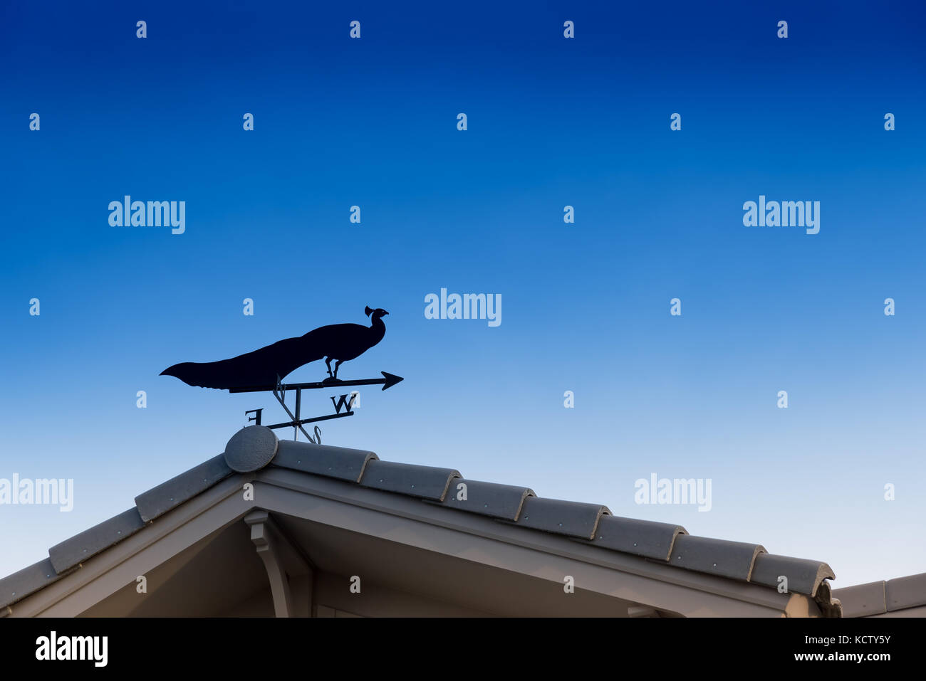 Weathervane mit Pfau oben ein Pfeil und die vier Himmelsrichtungen Nord Ost West Süd Stockfoto