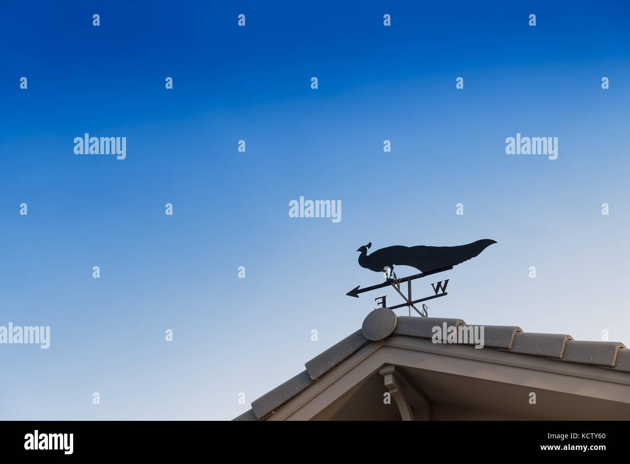 Weathervane mit Pfau oben ein Pfeil und die vier Himmelsrichtungen Nord Ost West Süd Stockfoto