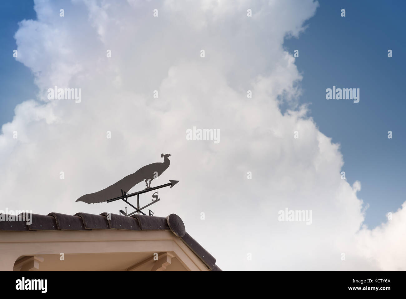 Weathervane mit Pfau oben ein Pfeil und die vier Himmelsrichtungen Nord Ost West Süd Stockfoto